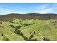Yard Creek Aggregation, Cooplacurripa NSW 2424