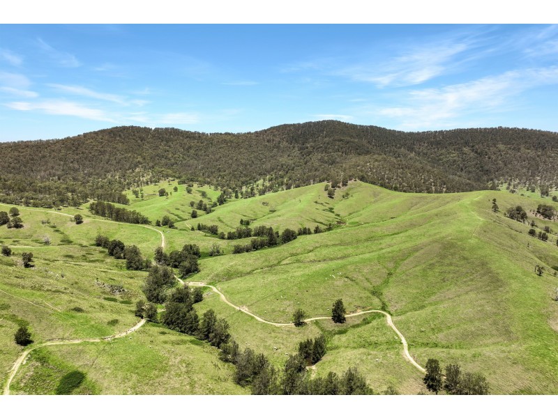 Yard Creek Aggregation, Cooplacurripa NSW 2424