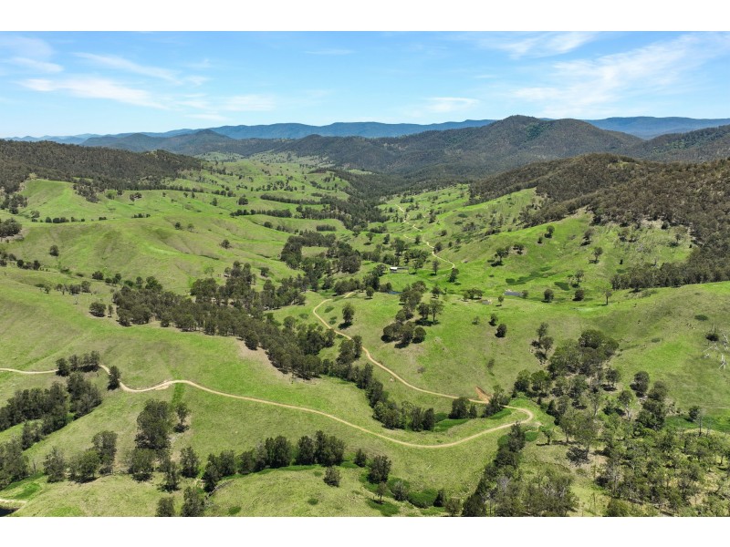 Yard Creek Aggregation, Cooplacurripa NSW 2424