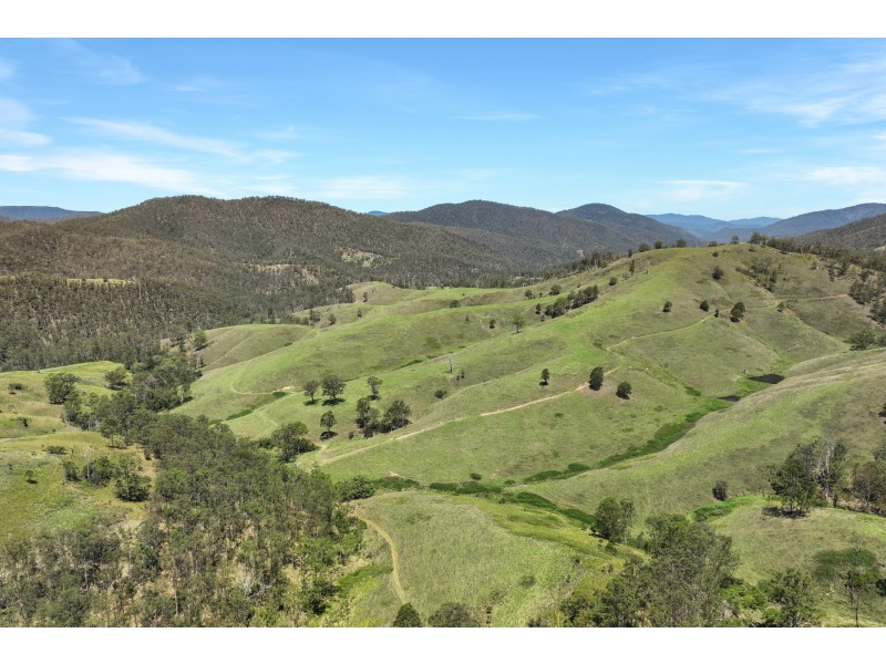 Yard Creek Aggregation, Cooplacurripa NSW 2424