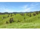 Yard Creek Aggregation, Cooplacurripa NSW 2424