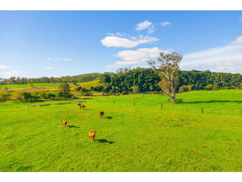 256 Abbotts Falls Road, Wingham NSW 2429