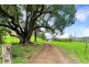 86 Little Run Road, Wherrol Flat NSW 2429