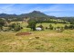 1893 Comboyne Road, Killabakh NSW 2429