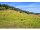 1893 Comboyne Road, Killabakh NSW 2429