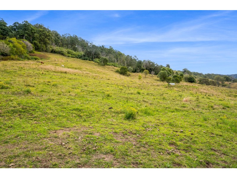 1893 Comboyne Road, Killabakh NSW 2429
