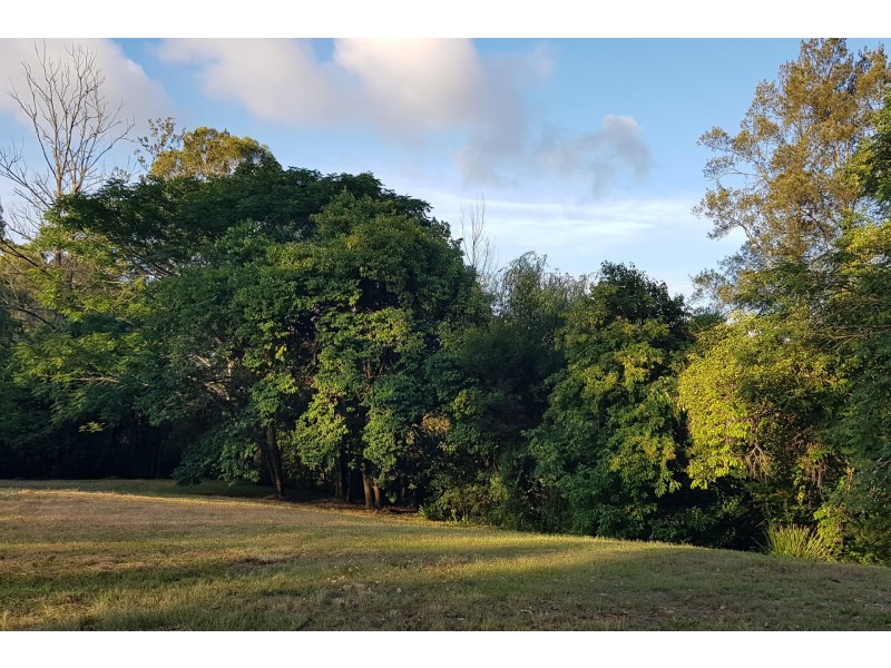 125-127 Richardson Street, Wingham NSW 2429