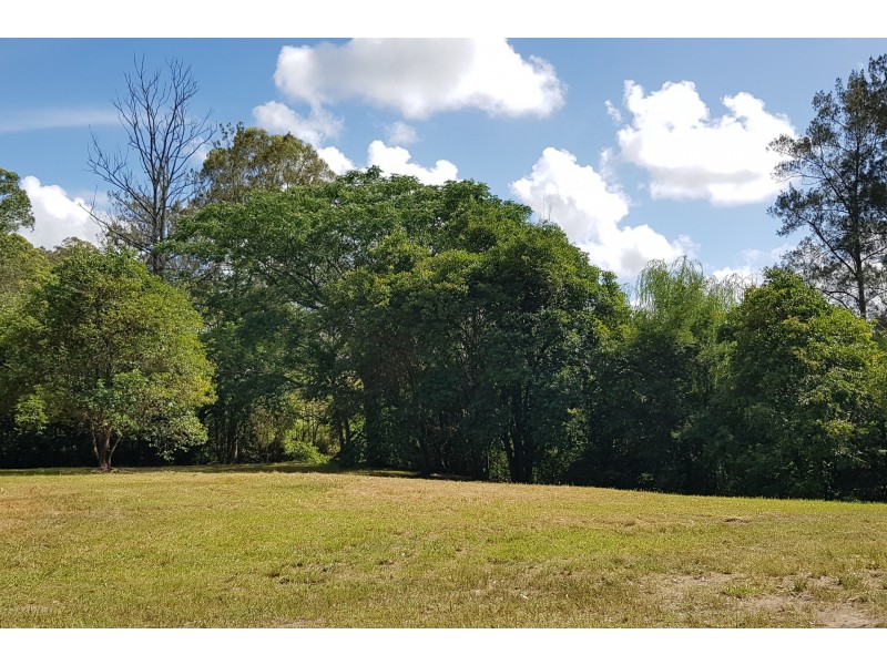 125-127 Richardson Street, Wingham NSW 2429