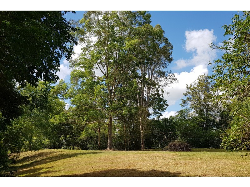 125-127 Richardson Street, Wingham NSW 2429