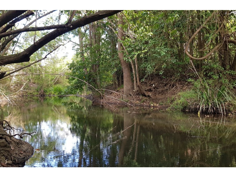 125-127 Richardson Street, Wingham NSW 2429