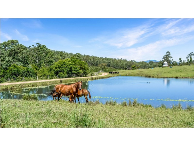 262 Wallaby Joe Road, Wingham NSW 2429