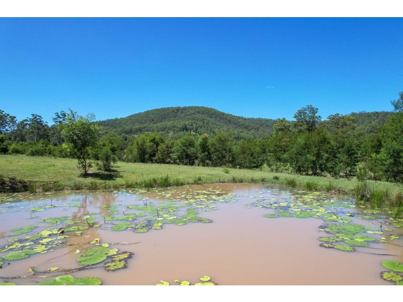 262 Wallaby Joe Road, Wingham NSW 2429