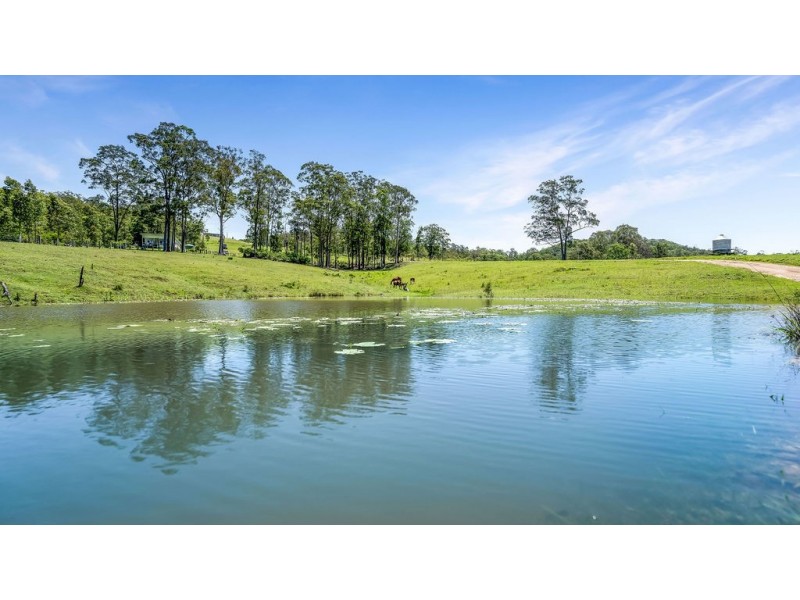 262 Wallaby Joe Road, Wingham NSW 2429
