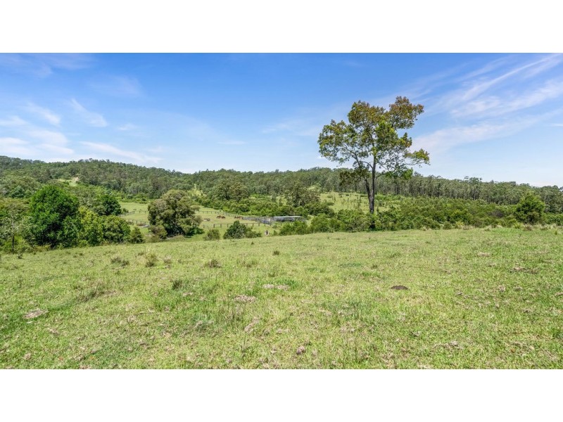 262 Wallaby Joe Road, Wingham NSW 2429