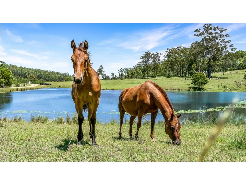 262 Wallaby Joe Road, Wingham NSW 2429