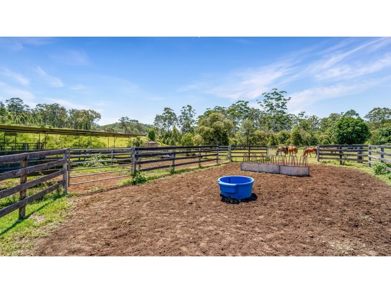 262 Wallaby Joe Road, Wingham NSW 2429