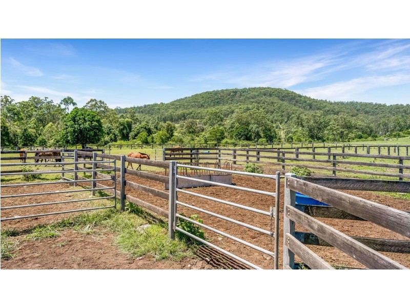 262 Wallaby Joe Road, Wingham NSW 2429