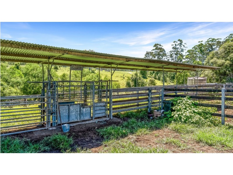 262 Wallaby Joe Road, Wingham NSW 2429