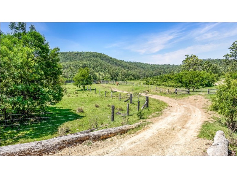 262 Wallaby Joe Road, Wingham NSW 2429