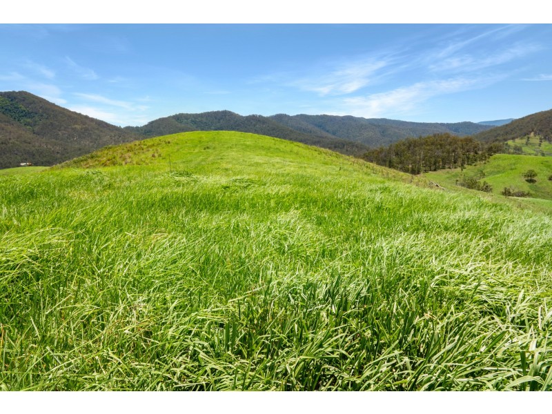 Yard Creek, Cooplacurripa NSW 2424