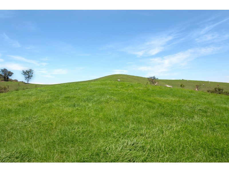 Yard Creek, Cooplacurripa NSW 2424