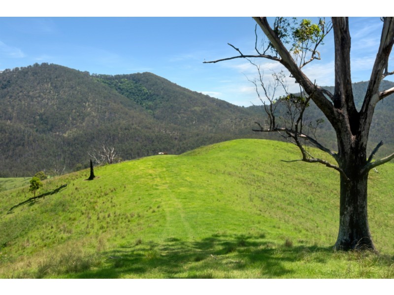 Yard Creek, Cooplacurripa NSW 2424