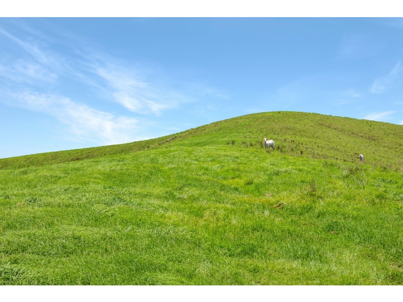 Yard Creek, Cooplacurripa NSW 2424