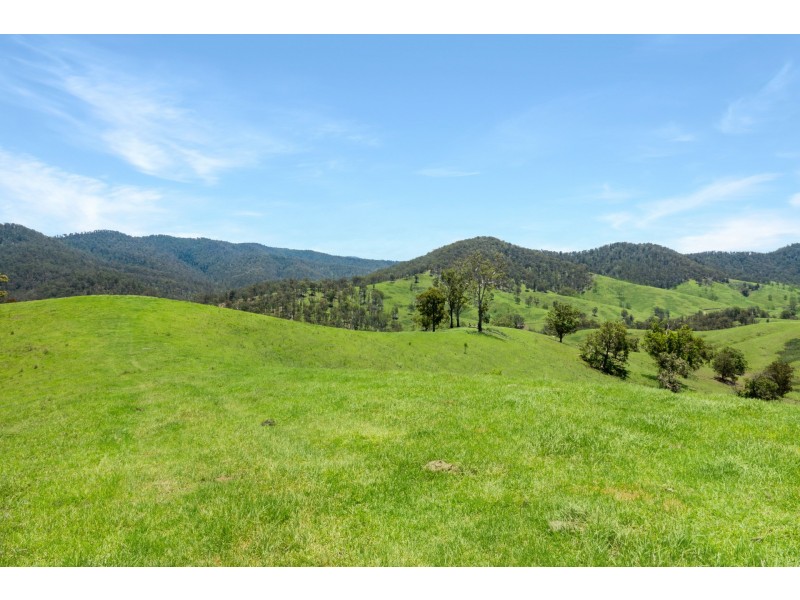 Yard Creek, Cooplacurripa NSW 2424