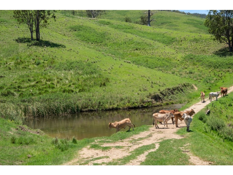 Yard Creek, Cooplacurripa NSW 2424