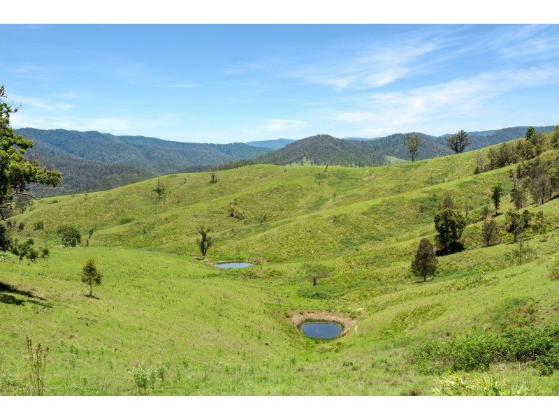 Yard Creek, Cooplacurripa NSW 2424