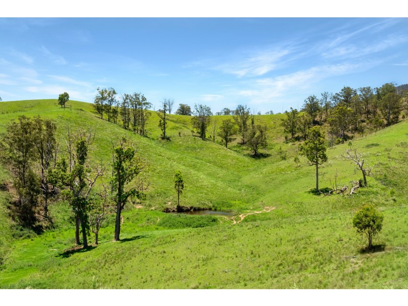 Yard Creek, Cooplacurripa NSW 2424