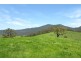 Yard Creek, Cooplacurripa NSW 2424