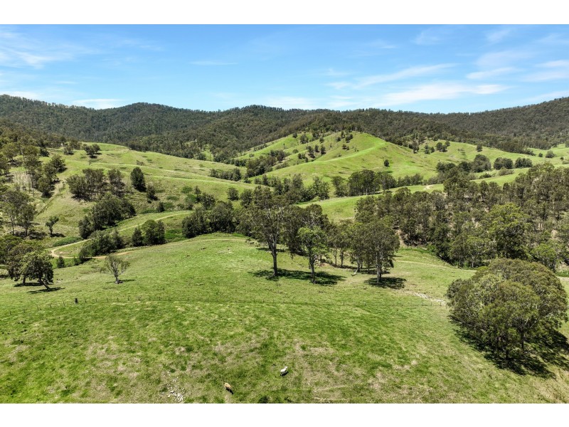 Yard Creek, Cooplacurripa NSW 2424