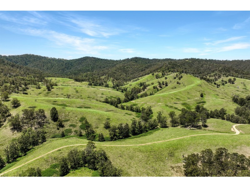 Yard Creek, Cooplacurripa NSW 2424