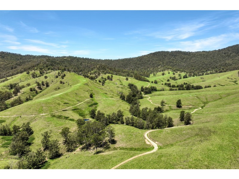 Yard Creek, Cooplacurripa NSW 2424