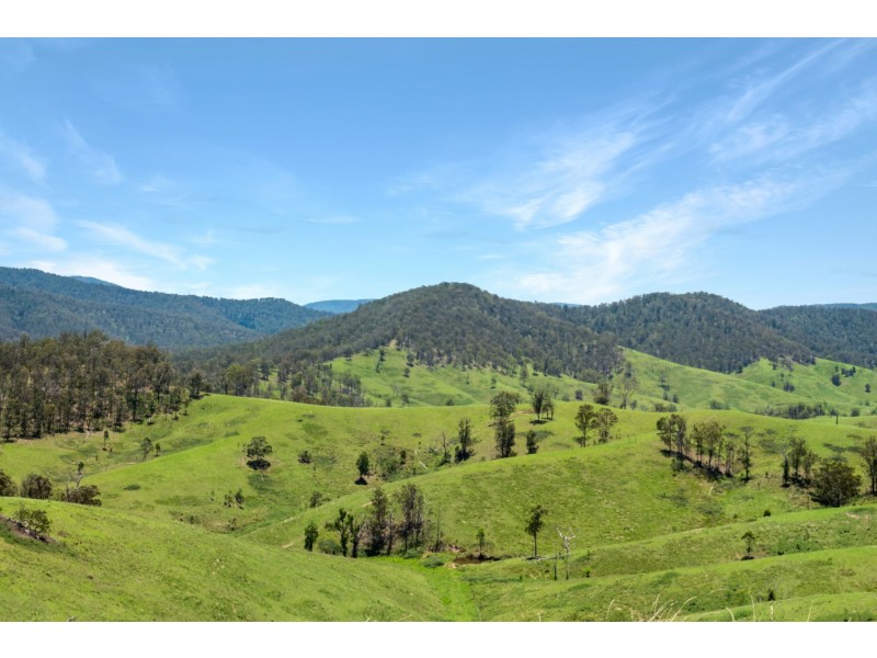 Yard Creek, Cooplacurripa NSW 2424