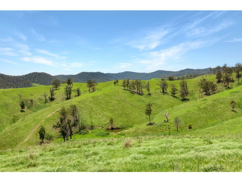 Yard Creek, Cooplacurripa NSW 2424