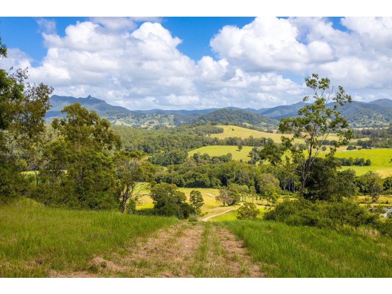 Lot 101 Beitibombi Creek Road, Wherrol Flat NSW 2429
