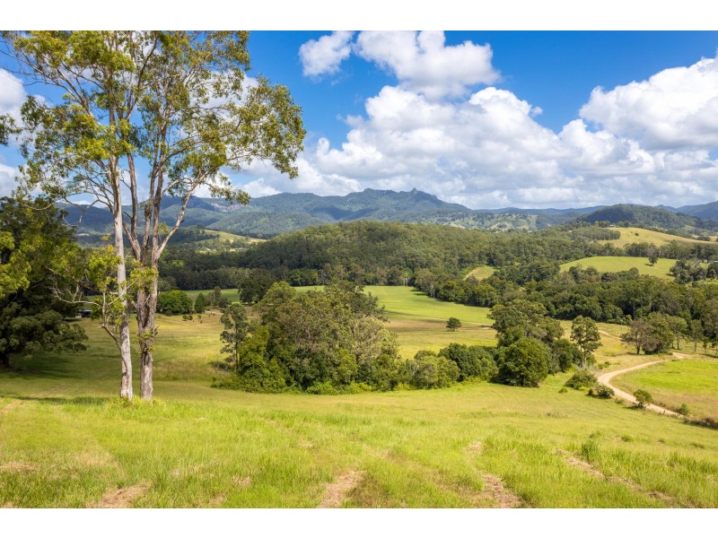 Lot 101 Beitibombi Creek Road, Wherrol Flat NSW 2429