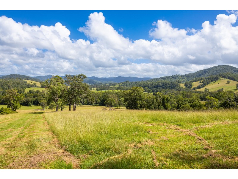 Lot 101 Beitibombi Creek Road, Wherrol Flat NSW 2429