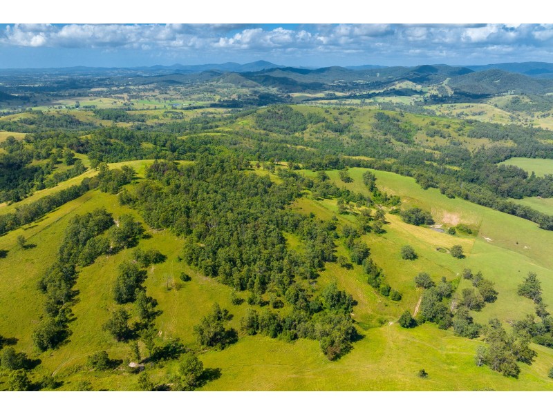 Lot 101 Beitibombi Creek Road, Wherrol Flat NSW 2429