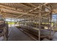 282 Newtons Road, Dumaresq Island NSW 2430
