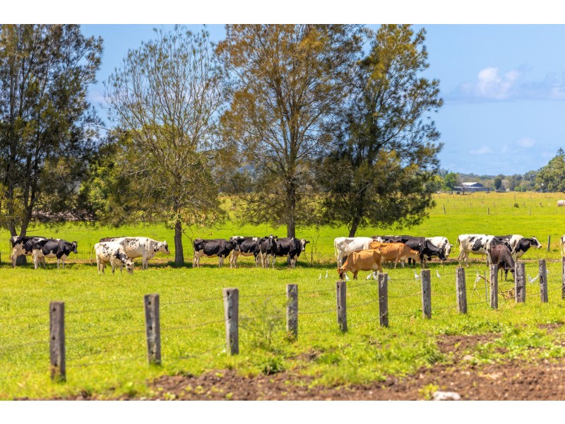 282 Newtons Road, Dumaresq Island NSW 2430