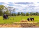 282 Newtons Road, Dumaresq Island NSW 2430
