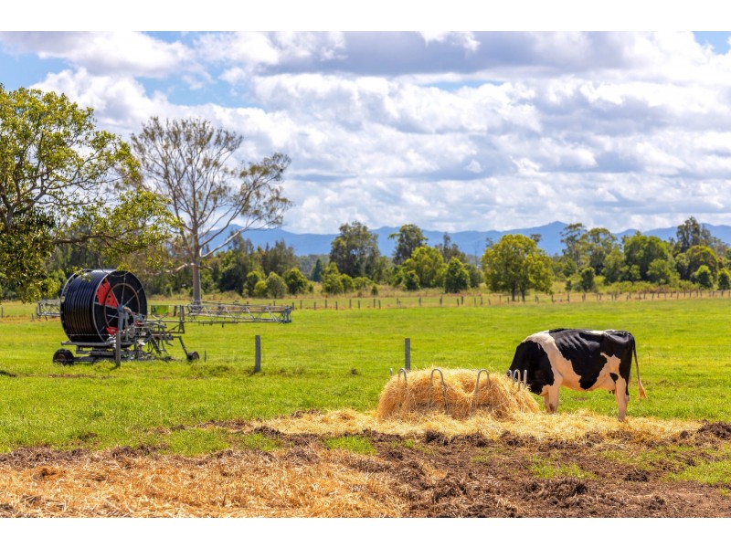 282 Newtons Road, Dumaresq Island NSW 2430