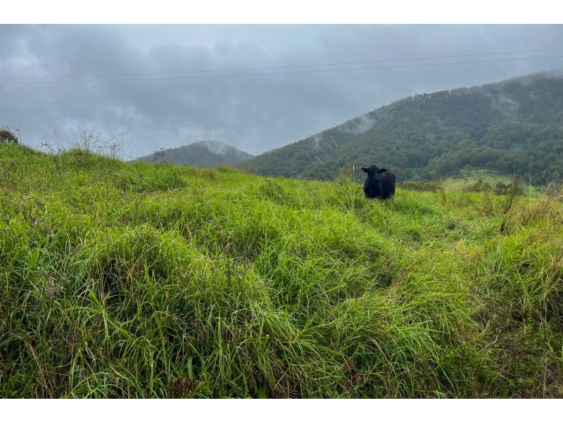 Enfield Range Road, Cooplacurripa NSW 2424