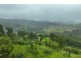 Enfield Range Road, Cooplacurripa NSW 2424