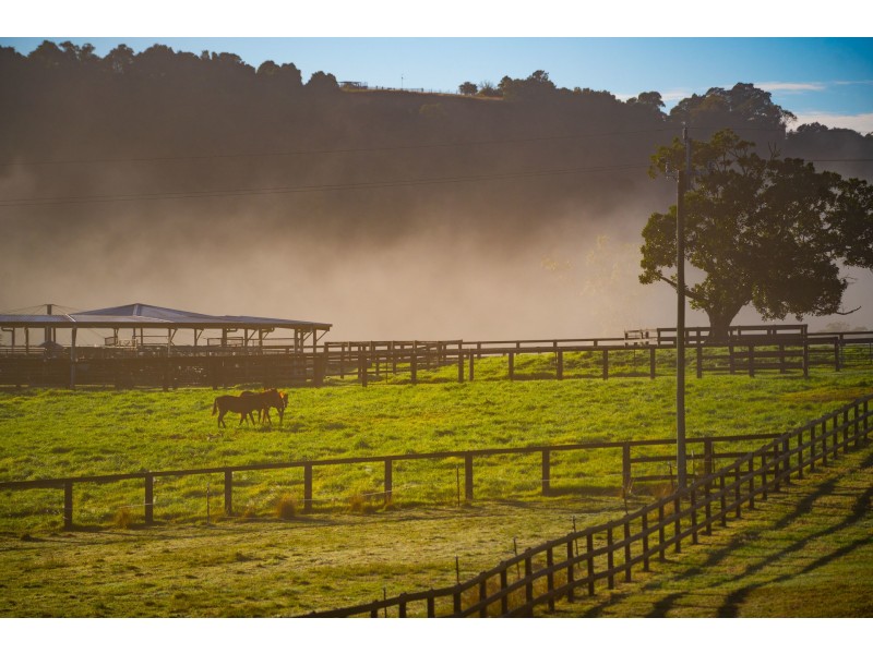 Abbotts Falls Road, Wingham NSW 2429