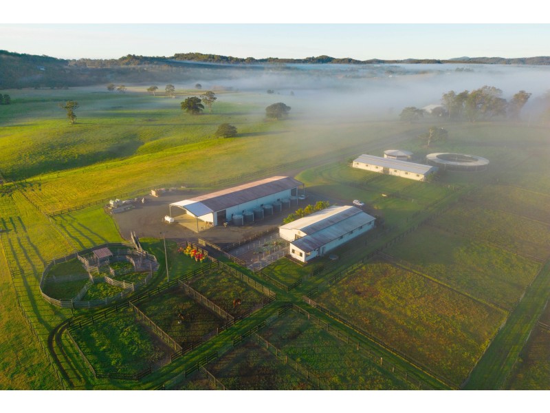 Abbotts Falls Road, Wingham NSW 2429