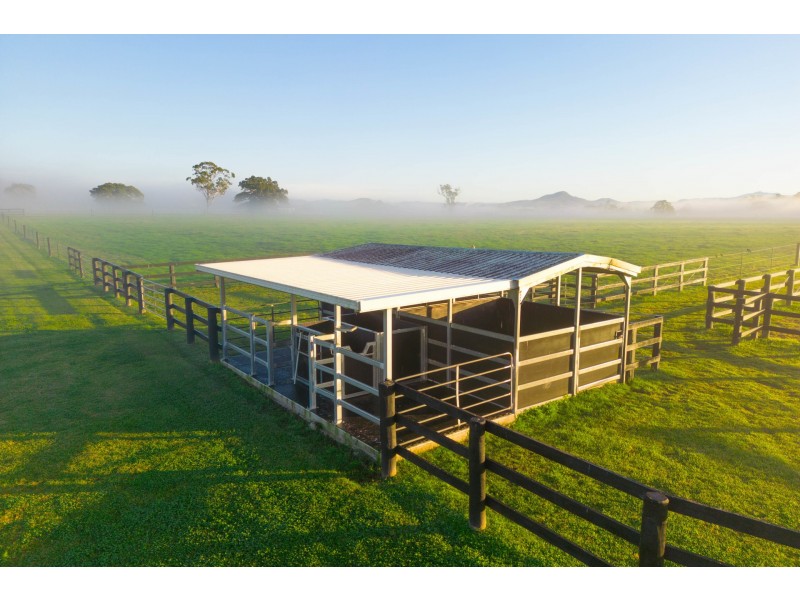 Abbotts Falls Road, Wingham NSW 2429